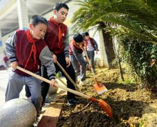 小手添新绿，青山区钢花小学开展植树节主题实践活动