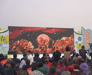 枝江顾家店镇“花茶融合·漫游顾乡”春季文旅活动启幕