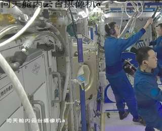 “太空植物”大丰收！