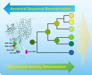 复活远古蛋白！我国研发出高效广谱Bt杀虫蛋白打破传统认知