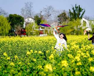 今明两年或成历史最热年份？专家回应→