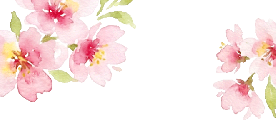 麻城：三月五脑山 茶花迎客来