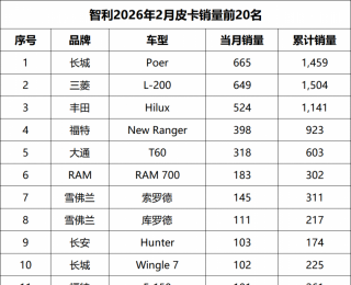 中国皮卡品牌强势登顶 长城炮斩获智利市场2月销量冠军