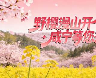 野樱漫山开，咸宁等您来！咸宁2026年赏花季主场活动3月21日启幕