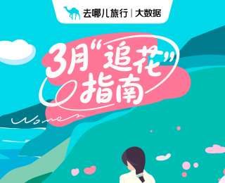 三月全国“追花游”，武汉仍是顶流！