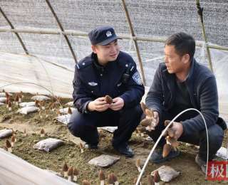 “丰收账”有人算，“安全账”有人管，宜城田间地头来了群“藏蓝管家”