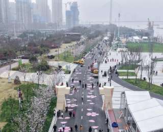 满城樱花作请柬，武汉四大火车站盛装迎客