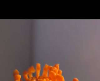 谁懂啊！恩施女孩用门牙把胡萝卜雕成艺术品