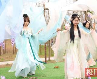 邂逅楚风侠韵！湖北荆州长湖樱花季浪漫启幕