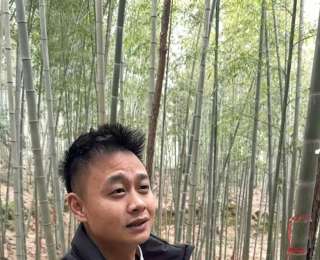 90后把酒“种”进竹子，一年卖出上千万！