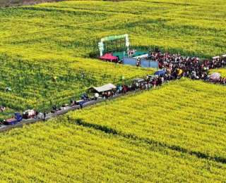 湖北通城：花开助农 “香约”塘湖 奏响农旅融合“春之歌”