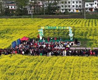 湖北通城：花开助农“香约”塘湖，奏响农旅融合“春之歌”