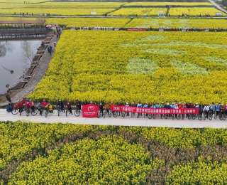 万亩花海里“与春同行”！沙洋休闲运动消费季精彩开启