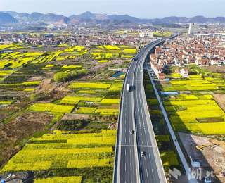 ​1.5小时直达！鄂东高速畅通万亩花海