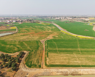 孝南：一场农旅融合的春日蝶变