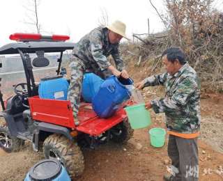 大悟高铁试验区：春植新绿强管护 生态提质绘新篇
