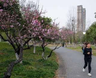 “15分钟健身圈”绘就健康生活新图景