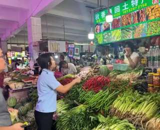 来凤：春菜尝鲜正当时