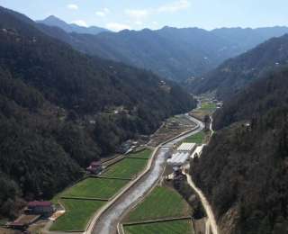 春潮涌动育苗忙，今年长阳烟农有望增收5000万元