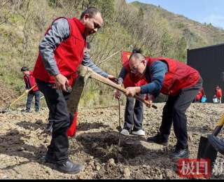 郧西县羊尾镇：植绿兴产践初心 青山富民启新程
