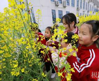 油菜花开满园香，童言稚语探春光
