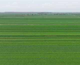 宜昌2026年春耕开局良好——粮油种养双提质，农产品供应充足