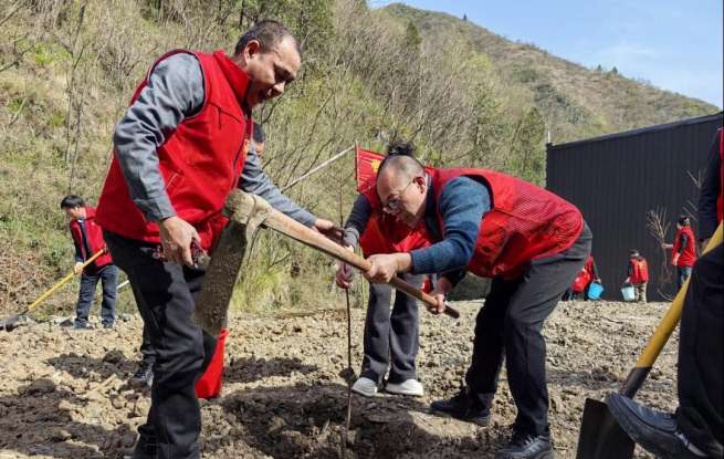 郧西县羊尾镇：植绿兴产践初心 青山富民启新程