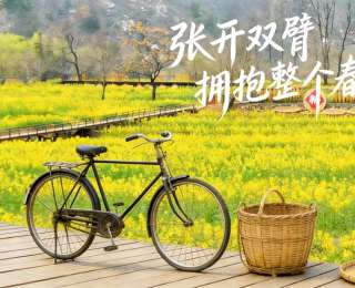 黄陂大余湾：300亩油菜花盛放，古村新貌入画来