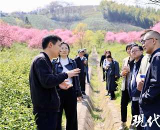 2026全国地方媒体总编辑看无锡｜从一叶春茶看宜兴茶文旅融合