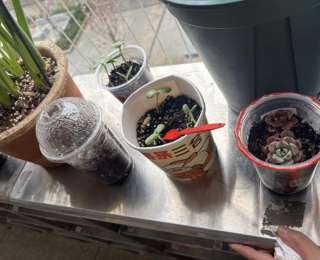 金口中学这场“春日三部曲”，把成长写进少年心里