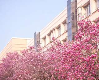 春日限定！湖北高校特色场馆一键免费预约