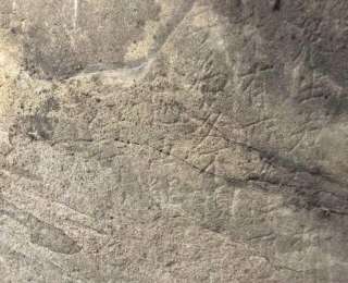 龙门石窟新发现鸠摩罗什译本《金刚经》的唐代石刻