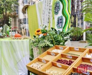 萌娃当上“春天合伙人”，在松软的泥土里播下热爱与期待