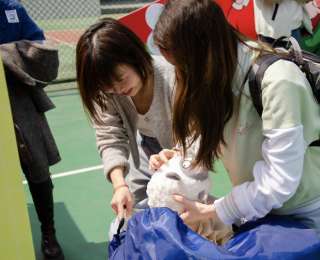 旧衣传情、文创载爱，高校举办公益市集助力“星宝”融入社会