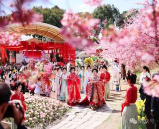 來邂逅十二花仙！麻城龜峰山“春游花朝季”精彩啟幕