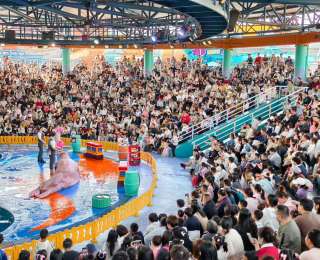 湖北清明假期首日：春日經(jīng)濟熱力足，A級景區(qū)游客量同比增15.41%