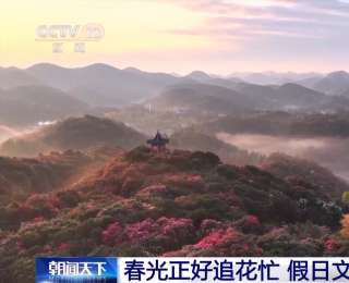 假日“追花地圖”熱力全開 賞花游帶火春日經(jīng)濟