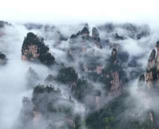 花海、市集與春味：湖南春日文旅解鎖消費新場景