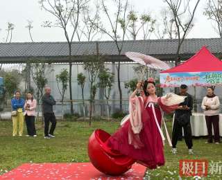 赏春花、品佳肴，广水这场活动春味浓