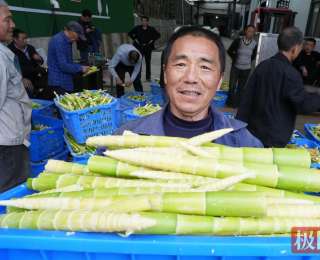 湖北竹山：竹笋丰收季，村民笑开颜