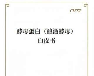 全球首部酵母蛋白白皮书发布