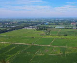 从“补丁地”到“千亩方”，湖北孝南这片土地何以重生？