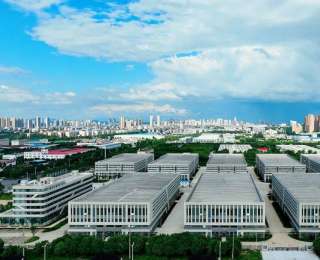 “追”了四年，“宠”出一个产业集群