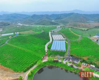 “广东畈村”竟在湖北咸宁，这个村跑出“广东”发展速度