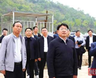 无人机吊着“病树”下山，十堰这场“树木救死扶伤”现场会开到了山林里