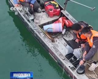 从野外灭绝到自然产卵 解码长江鲟野外种群重建关键一步