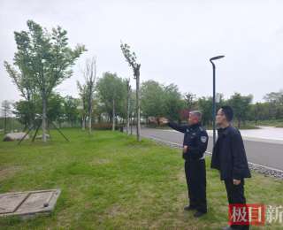 藤蔓缠住“大眼萌主”，民警温柔剪开，猫头鹰重归蓝天