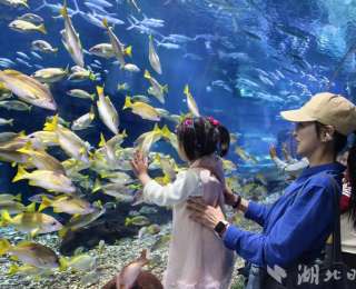 武汉极地海洋度假区助力孤残儿童圆“蔚蓝之梦”