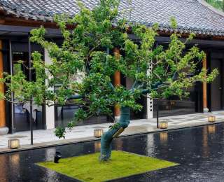 让楚菜从“家常”走向“宴席”，这位85后主厨在湖边建了一座味觉地标