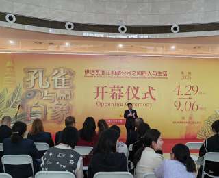 “孔雀与白象：伊洛瓦底江和湄公河之间的人与生活”特展，在湖北省博物馆开展